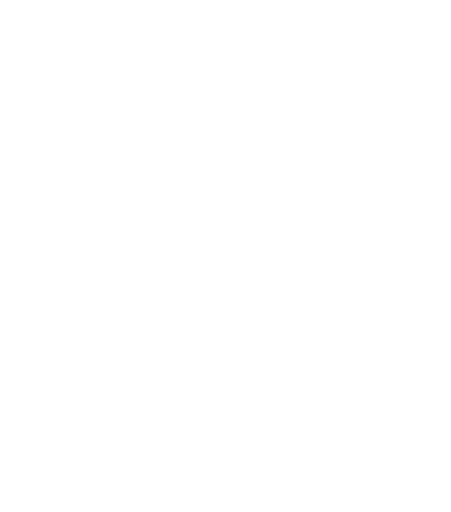 CSS